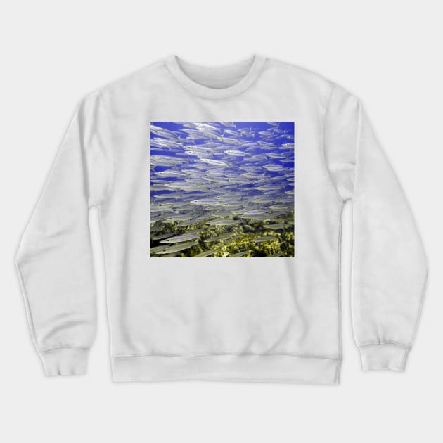 Silver Fish Wall Crewneck Sweatshirt by Scubagirlamy